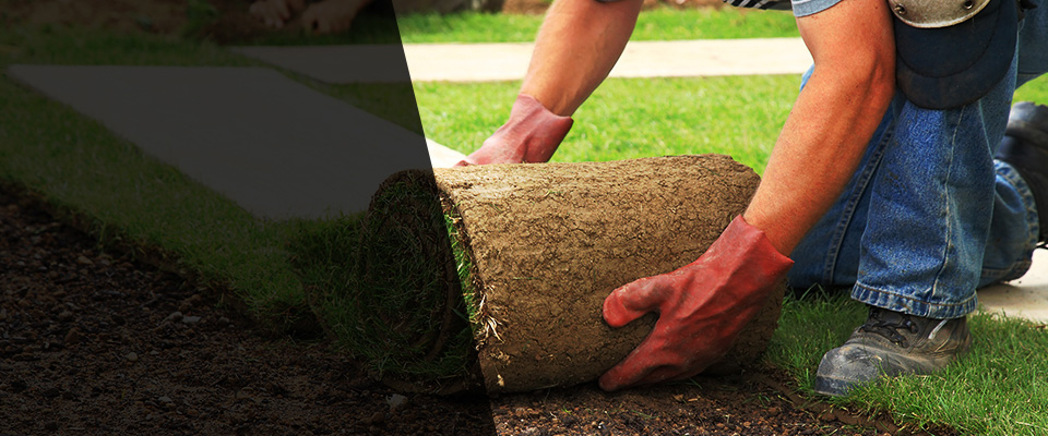 Blair Landscapers